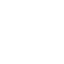 Logo ANKO
